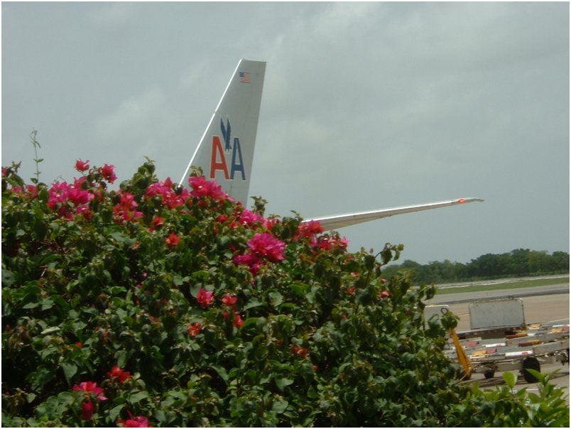 Flight (21)
